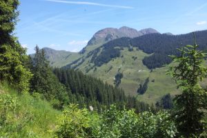 tolle Panoramen bei der Biketour